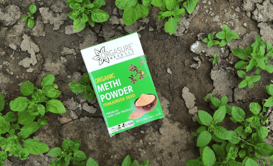 Methi Powder for Hair : A Homemade Remedy for Hair Fall